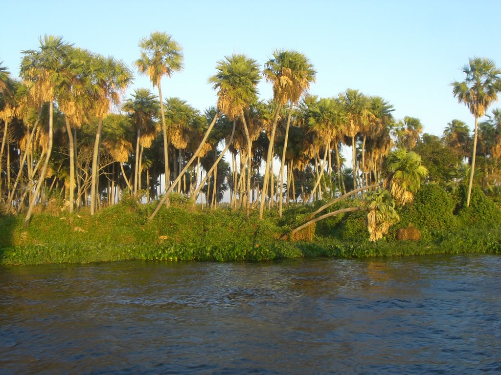 orilla del rio Paraguay