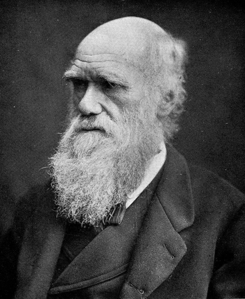 Portrait_of_Charles_Darwin._Wellcome_M0010103